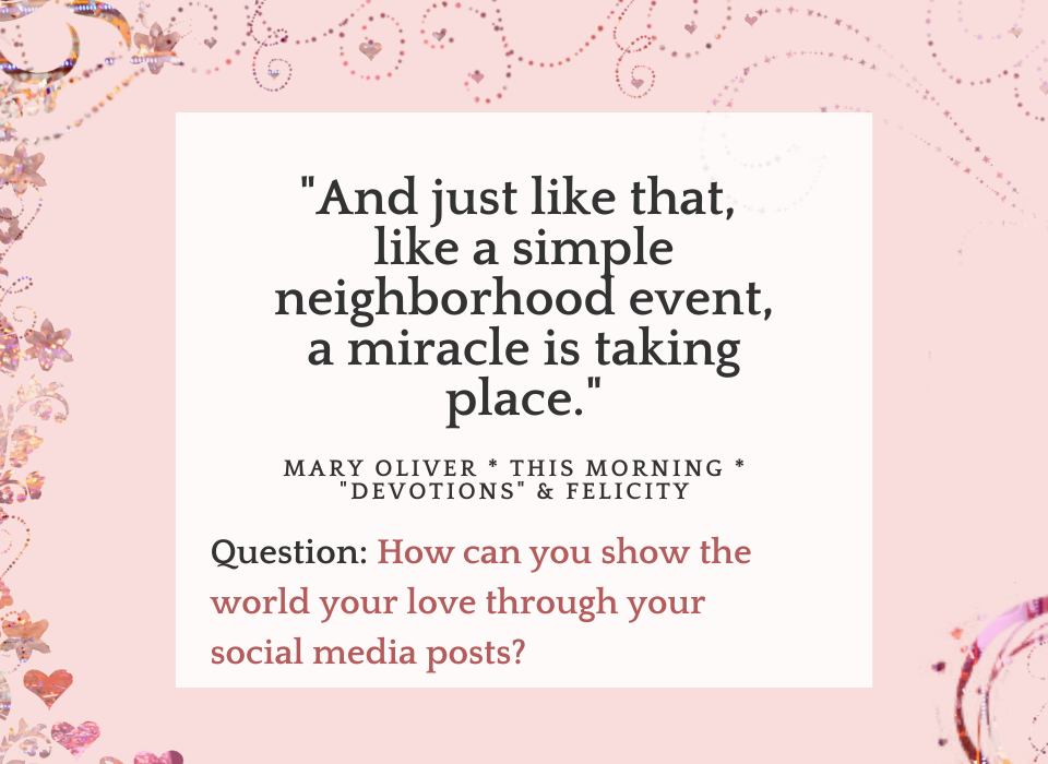 A text box with a pink background and a Quote from a Mary Oliver poem (Felicity) that says "And just like that, just like a simple neighborhood event. a miracle taking place."  The question for you is "How can you show the world your love through social media posts?"