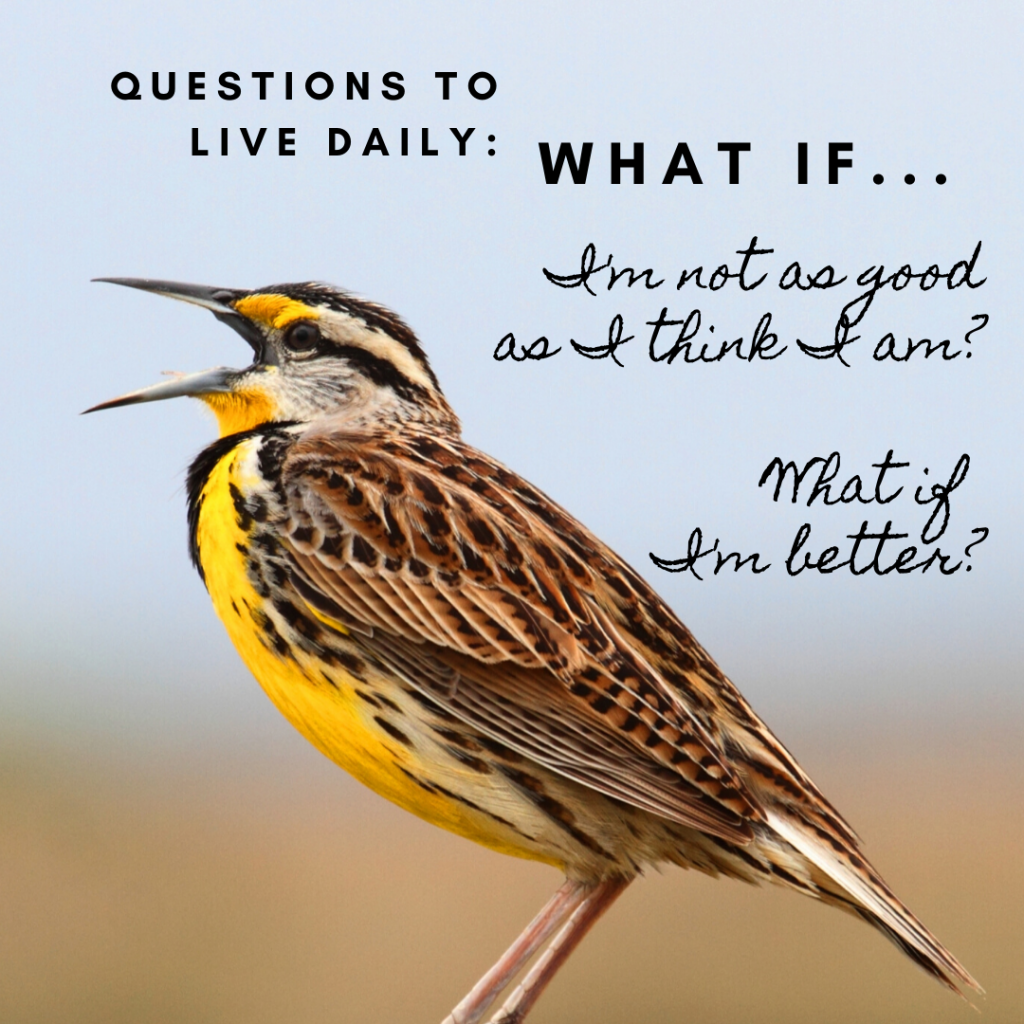 Birds don't question their abilities, but they sing anyway. This yellow bird shows us that. Why do we assume we aren't any good?