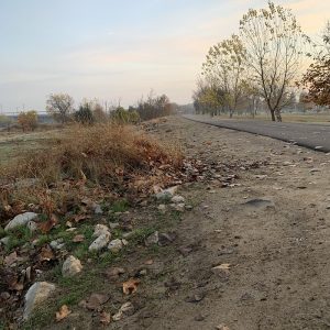 This  park is part of the Kern River Parkway - a lovely bike path experience stretches wide across the town - and makes getting from CSUB to Oildale and Bakersfield remarkably quick!