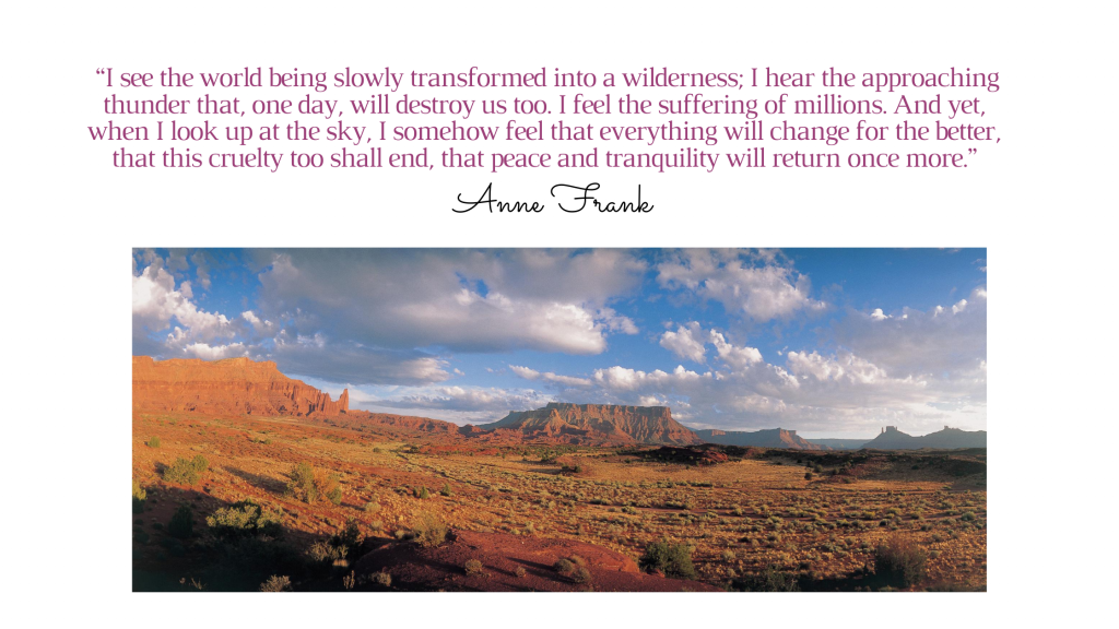 Anne Frank quote on wilderness and optimism, despite what she experiences.