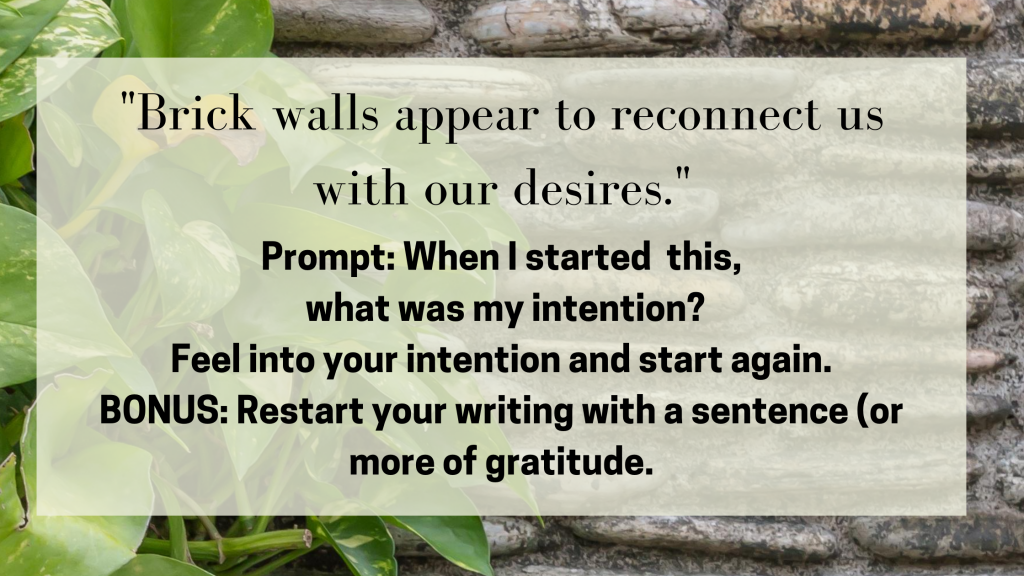 A brick wall with plants on the side including a quote from Julie Jordan Scott "Blocks appear in order to reconnect us with our desires." and the prompt: "When I started this, what was my intention?" BONUS: Restart your writing with a sentence (or more) of gratitude.