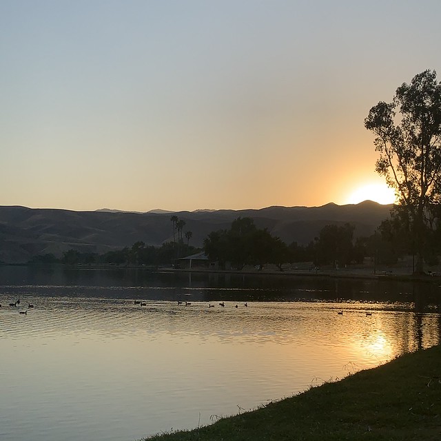 Just as the sunrises at Lake Ming in Bakersfield. Ducks in the lake swim as the sky brightens. 