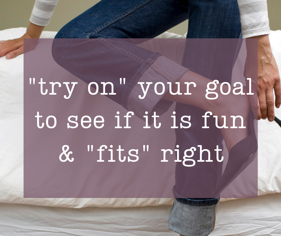 Trying on a goal is like trying on shoes and clothes and rearranging the furniture. Micro-goals are one way to do this successfully